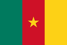 Drapeau Cameroun